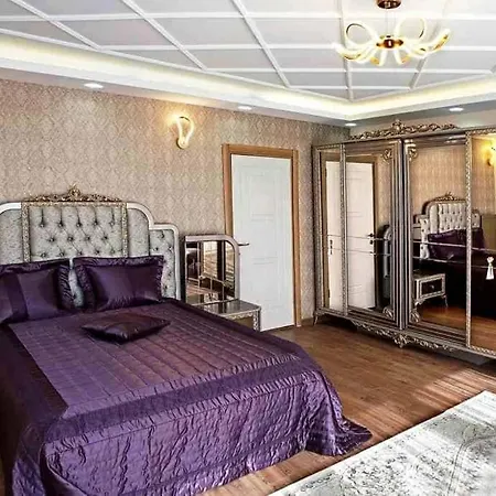 Muecevher فيلة اسطنبول